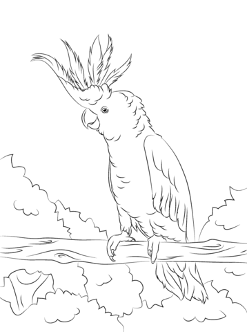 Yellow Crested Cockatoo Coloring Page